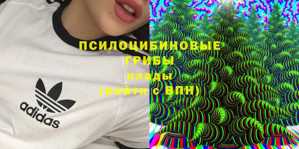 амф Алзамай